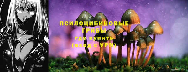 МДПВ Карталы